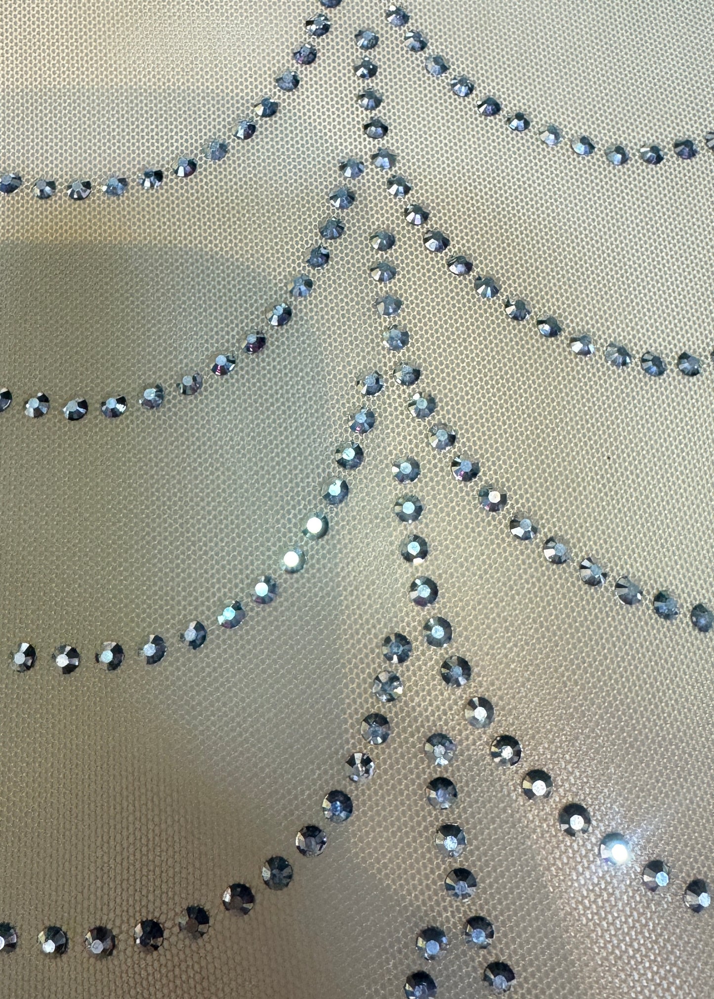 Stone Studded Sheer Bodycon Dress