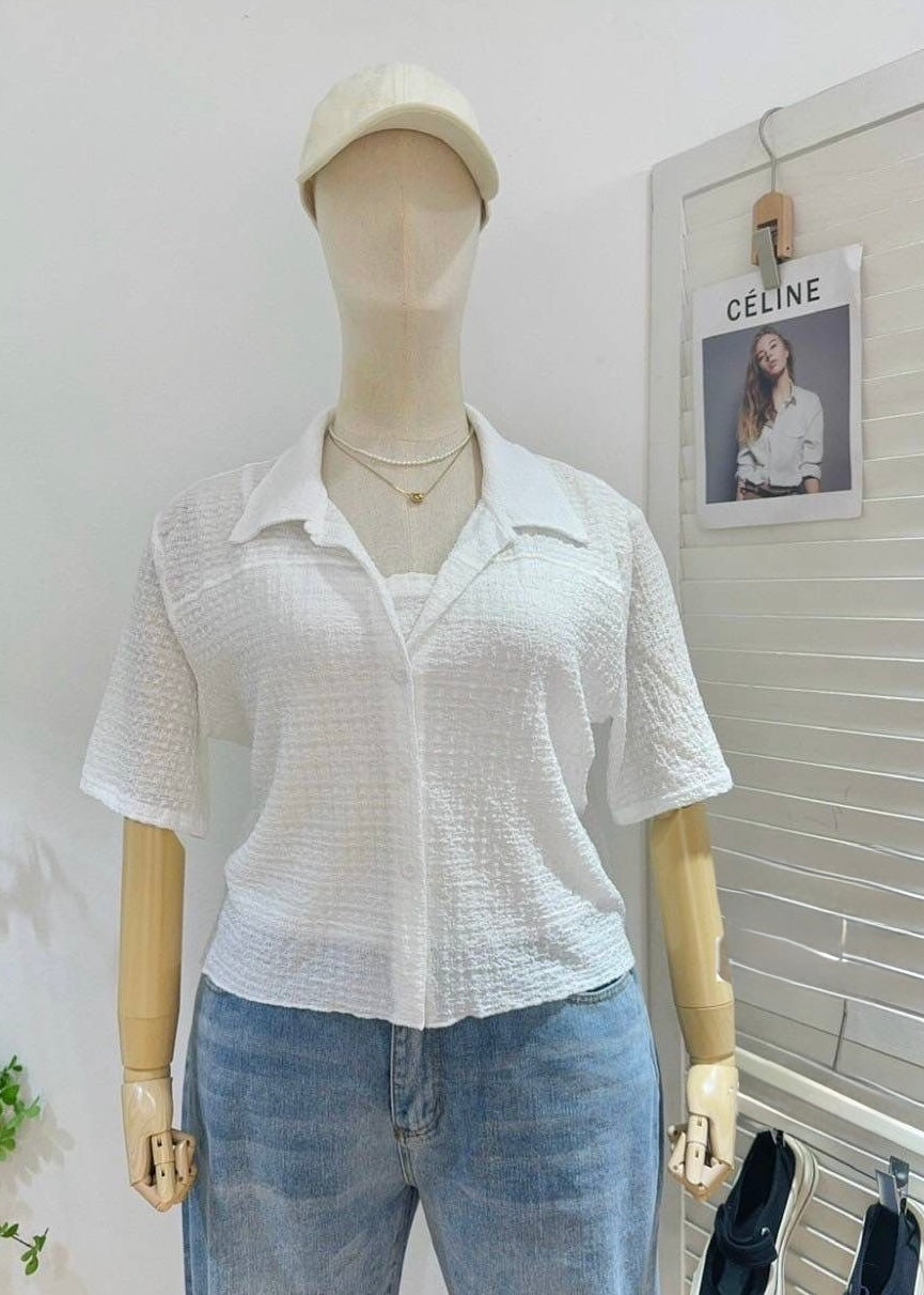 Plus Size 2Pc Shirt Set