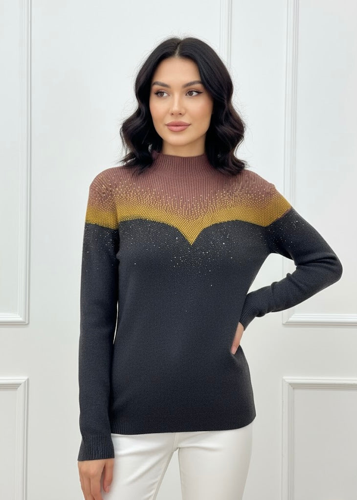 Two Shaded Stone Studded High Neck Top