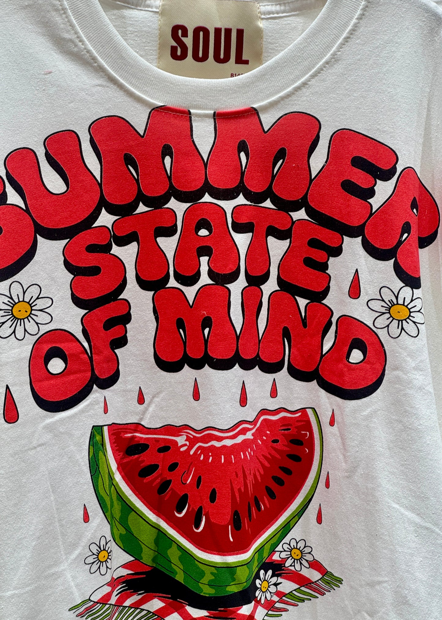 Watermelon Printed Oversized Crop T-shirt