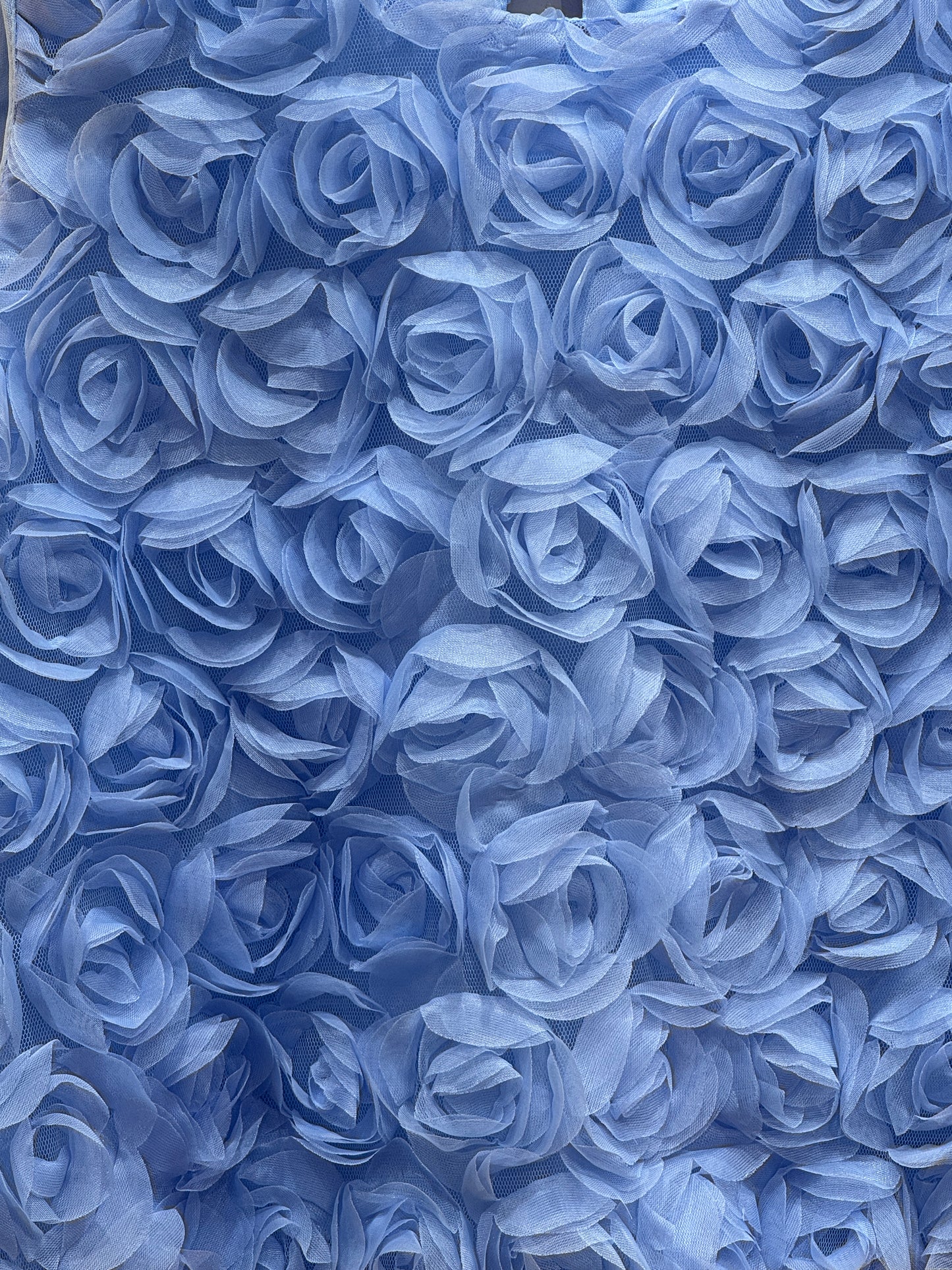 Cutesy 3D Rose Top