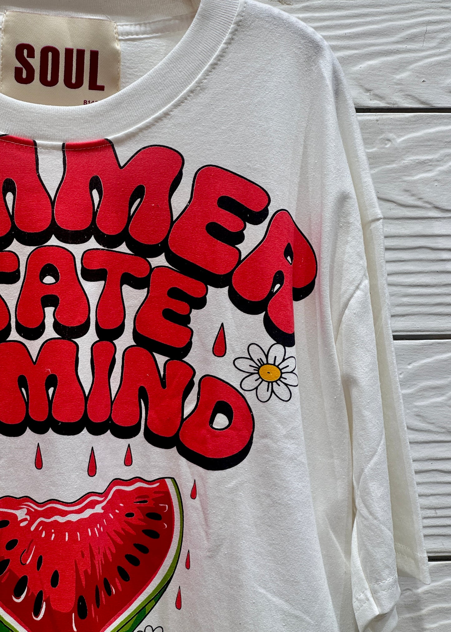 Watermelon Printed Oversized Crop T-shirt