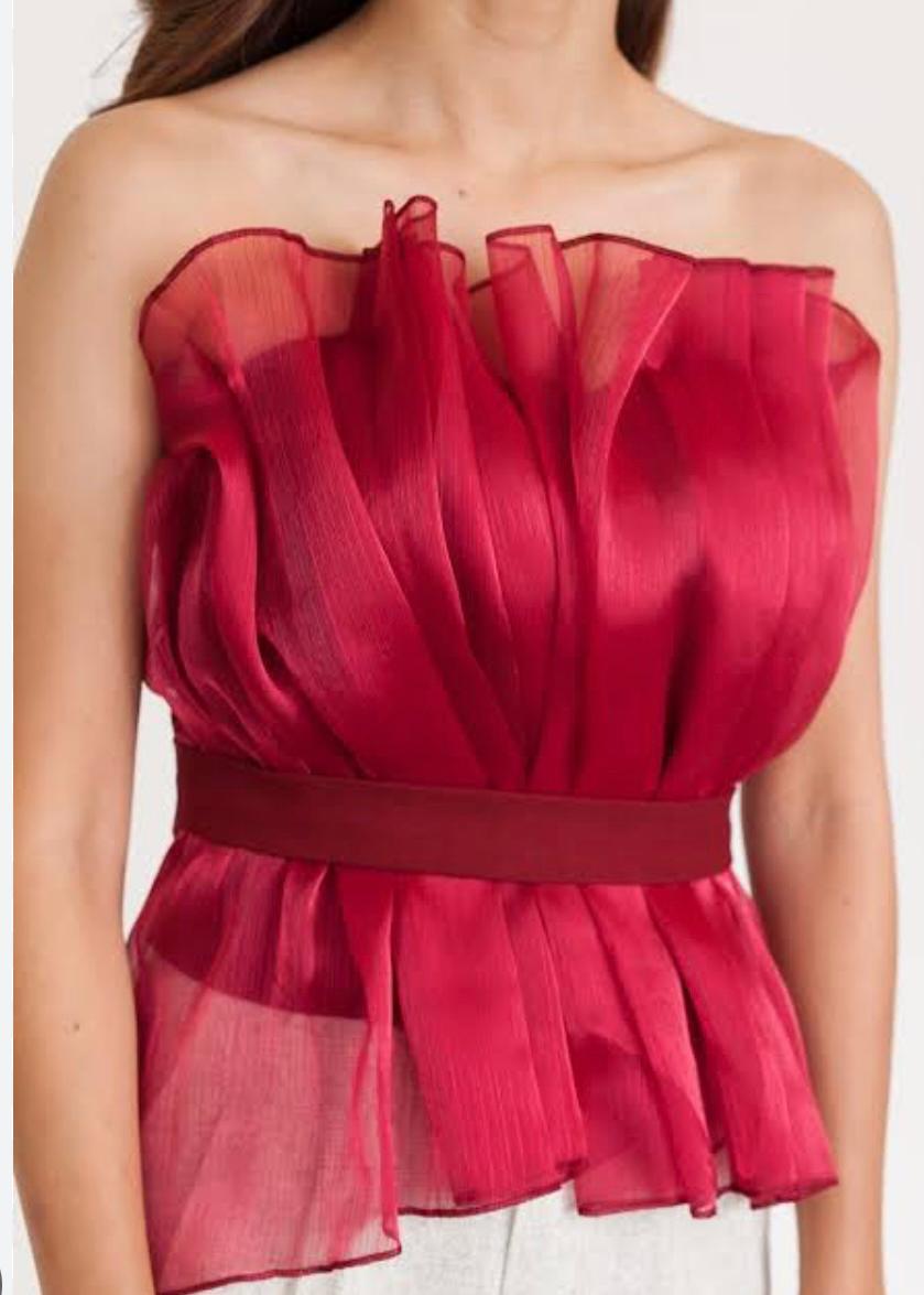 Partywear Organza Tube Top